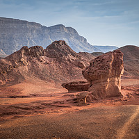 Buy canvas prints of the valley view point in timna national park in so by Chris Willemsen