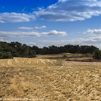 Buy canvas prints of the nature reserve Maasduinen by Chris Willemsen