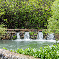 Buy canvas prints of the Banias Spring source of the jordan river by Chris Willemsen