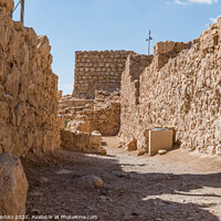 Buy canvas prints of Ruins of the ancient Masada by Chris Willemsen