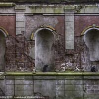 Buy canvas prints of old wall with cats by Chris Willemsen