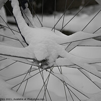 Buy canvas prints of bike in the snow in winter  by Chris Willemsen