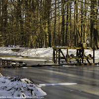 Buy canvas prints of Winter with snow in the Waterloopbos by Chris Willemsen