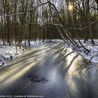 Buy canvas prints of Winter with snow and ice in the Waterloopbos, by Chris Willemsen