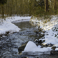 Buy canvas prints of a river with  snow during a cold period in the nature area het waterloopbos in Holland by Chris Willemsen