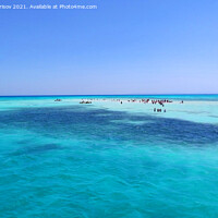 Buy canvas prints of White Island in the Red Sea in August 2021 (Egypt) by Vitaliy Borisov