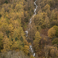 Buy canvas prints of Stunning vibrant golden Autumn Fall landscape of larch tree forest with river and waterfall flowing through from top to bottom of image by Matthew Gibson