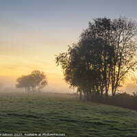 Buy canvas prints of Stunning vibrant Autumn foggy sunrise English countryside landscape image by Matthew Gibson