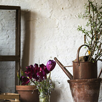 Buy canvas prints of Beautiful old vintage English countryside garden potting shed interior detail by Matthew Gibson