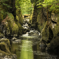 Buy canvas prints of Stunning ethereal landscape of deep sided gorge with rock walls and stream flowing through lush greenery by Matthew Gibson