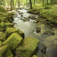 Buy canvas prints of Beautiful landscape of river flowing through lush forest Golitha Falls in England by Matthew Gibson