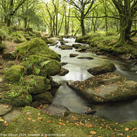Buy canvas prints of Stunning landscape iamge of river flowing through lush green forest in Summer by Matthew Gibson