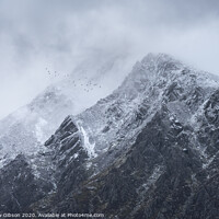 Buy canvas prints of Stunning detail landscape images of snowcapped Pen Yr Ole Wen mountain in Snowdonia during dramatic moody Winter storm with birds flying high above by Matthew Gibson