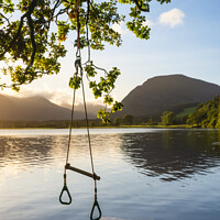 Buy canvas prints of Quintessential beautiful English Summer landscape image of child's rope swing over calm lake in Lake District during golden Summer sunrise by Matthew Gibson