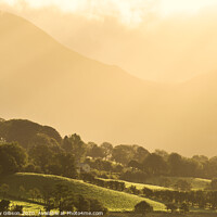 Buy canvas prints of Epic golden light of sunrise on side of Low Fell in the English Lake District countryside during late Summer by Matthew Gibson