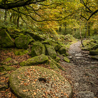 Buy canvas prints of Beautiful vibrant Autumn Fall forest landscape image of millstone in woodland in Peak District by Matthew Gibson