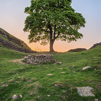 Buy canvas prints of Beautiful landscape image of Sycamore Gap at Hadrian's Wall in Northumberland at sunset with fantastic late Spring light by Matthew Gibson