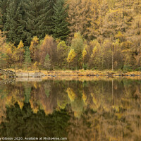 Buy canvas prints of Beautiful colorful vibrant Autumn Fall landscape image of Blea Tarn with golden colors reflected in lake by Matthew Gibson