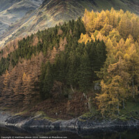 Buy canvas prints of Beautiful landscape image of Autumn Fall with vibrant pine and larch trees against majestic setting of Hawes Water and High Stile peak in Lake District by Matthew Gibson