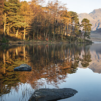 Buy canvas prints of Beautiful Autumn Fall colorful sunrise over Blea Tarn in the Lake District with High Raise and The Langdales in the distance by Matthew Gibson