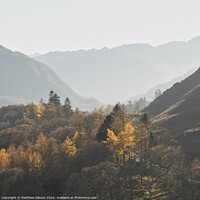 Buy canvas prints of Beautiful Autumn Fall landscape image of the view from Catbells in the Lake District with vibrant Fall colors being hit by the late afternoon sun by Matthew Gibson