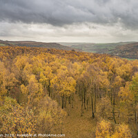 Buy canvas prints of Amazing view over the top of Silver Birch forest with golden leaves in Autumn Fall landscape scene of Upper Padley gorge in Peak District in England by Matthew Gibson