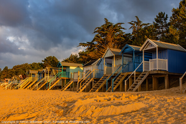 Beach Huts Picture Board by Simon Wilkinson
