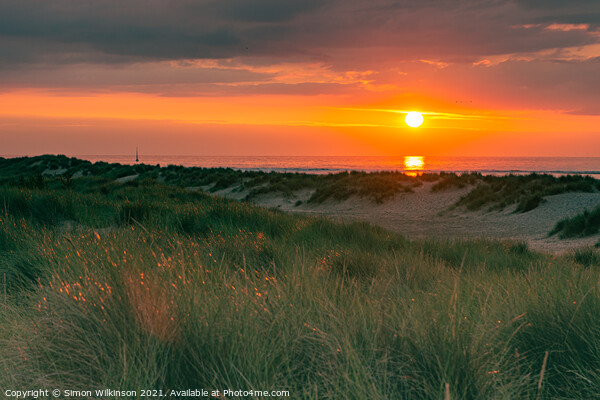 Sunset across the Dunes Picture Board by Simon Wilkinson