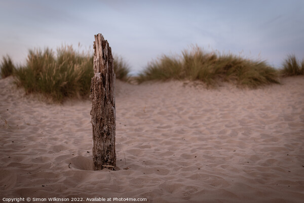 Driftwood Picture Board by Simon Wilkinson