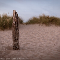 Buy canvas prints of Driftwood by Simon Wilkinson