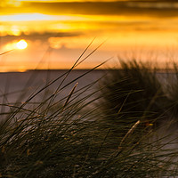 Buy canvas prints of Beach Sunset by Simon Wilkinson