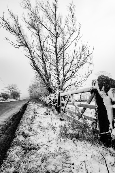A Winter's Day Picture Board by Simon Wilkinson