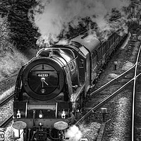 Buy canvas prints of Duchess of Sutherland by Simon Wilkinson