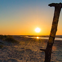 Buy canvas prints of Driftwood by Simon Wilkinson