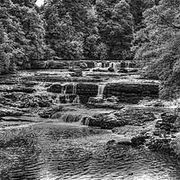 Buy canvas prints of Aysgarth Falls by Simon Wilkinson