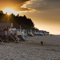 Buy canvas prints of Evening Stroll by Simon Wilkinson