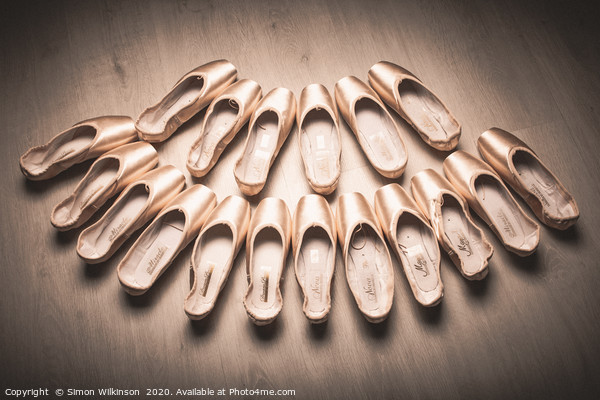 Ballet Shoes Picture Board by Simon Wilkinson