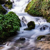 Buy canvas prints of A waterfall surrounded by trees by Simon Wilkinson