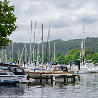 Buy canvas prints of Lake Windermere by Simon Wilkinson