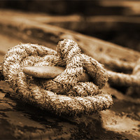 Buy canvas prints of Sepia Rope by Neil Gavin