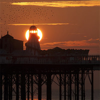 Buy canvas prints of Sunset over Brighton Pier by TIM HUGHES