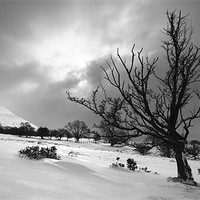 Buy canvas prints of Winter in the Black Mountains by TIM HUGHES