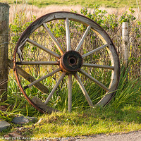 Buy canvas prints of Agriculture, Cart wheel, abandoned by Hugh McKean