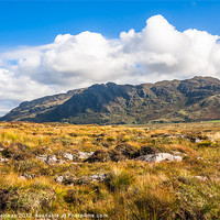 Buy canvas prints of View over the moss of Mointeach Mhor to Sgurr an t by Hugh McKean
