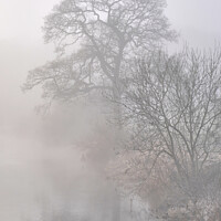 Buy canvas prints of Foggy & frosty day River Annan by Hugh McKean