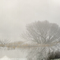 Buy canvas prints of Foggy afternoon River Annan by Hugh McKean