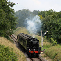 Buy canvas prints of The Watercress Line by Catherine Fowler
