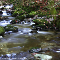 Buy canvas prints of Stock Ghyll Force, Ambleside by Catherine Fowler
