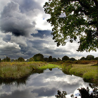 Buy canvas prints of Bushy Park by Catherine Fowler