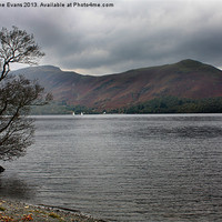Buy canvas prints of Lone Tree by Derwentwater by Catherine Fowler